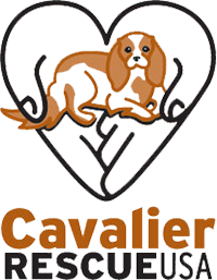 Cavalier Rescue USA website home page
